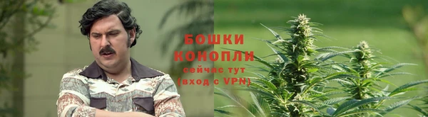 мдпв Гусиноозёрск