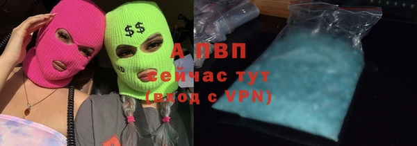 экстази Гусев