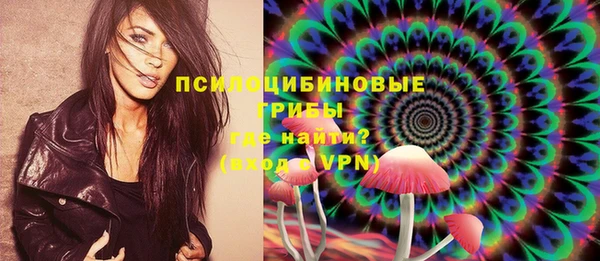 экстази Гусев