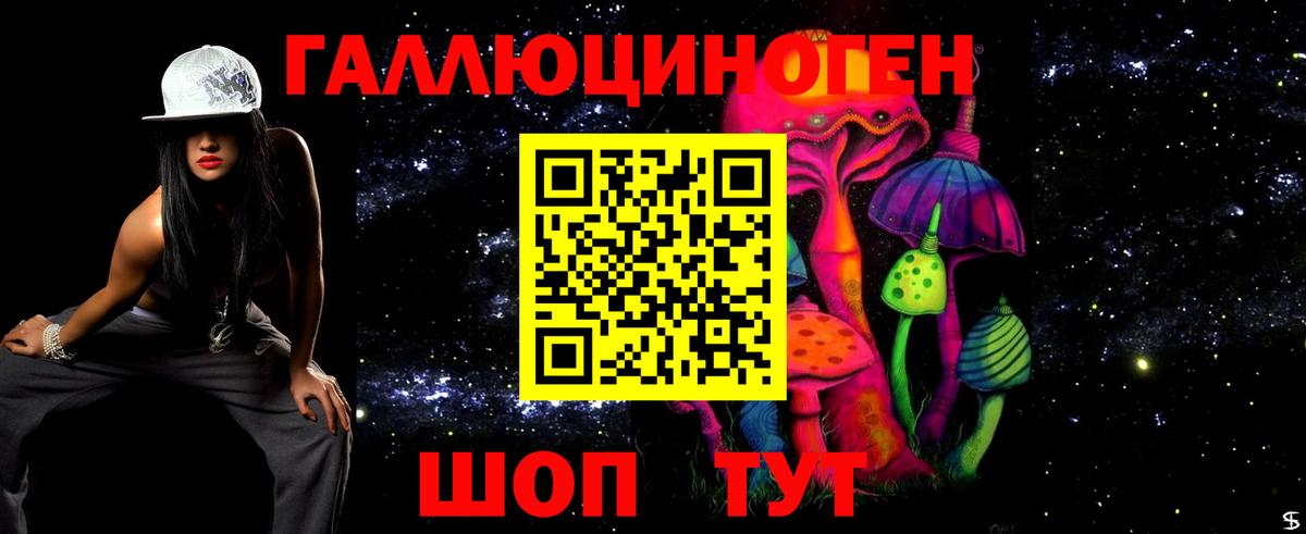 Псилоцибиновые грибы GOLDEN TEACHER  Вход с VPN  Норильск 